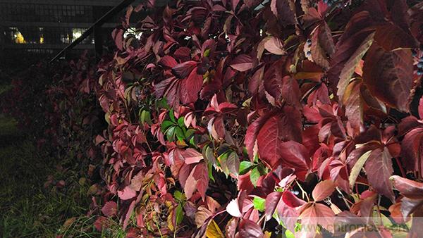 業界良心 LG V10 評測:剛毅、冷峻,不失人性化